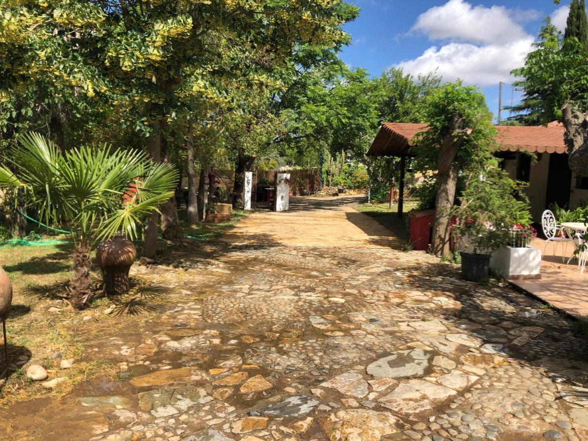 Vivienda Turistica La Huerta Villa Guadalcanal Eksteriør billede
